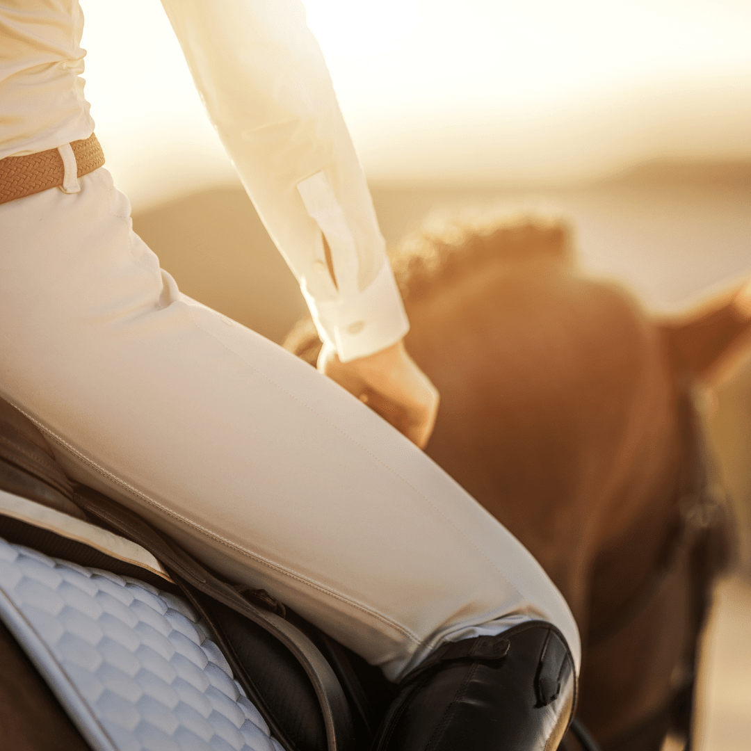 une cavaliere, sur son cheval, au soleil couchant