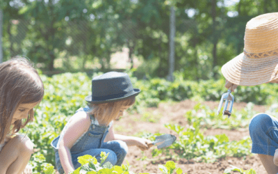 Dans mon jardin poussent des enfants