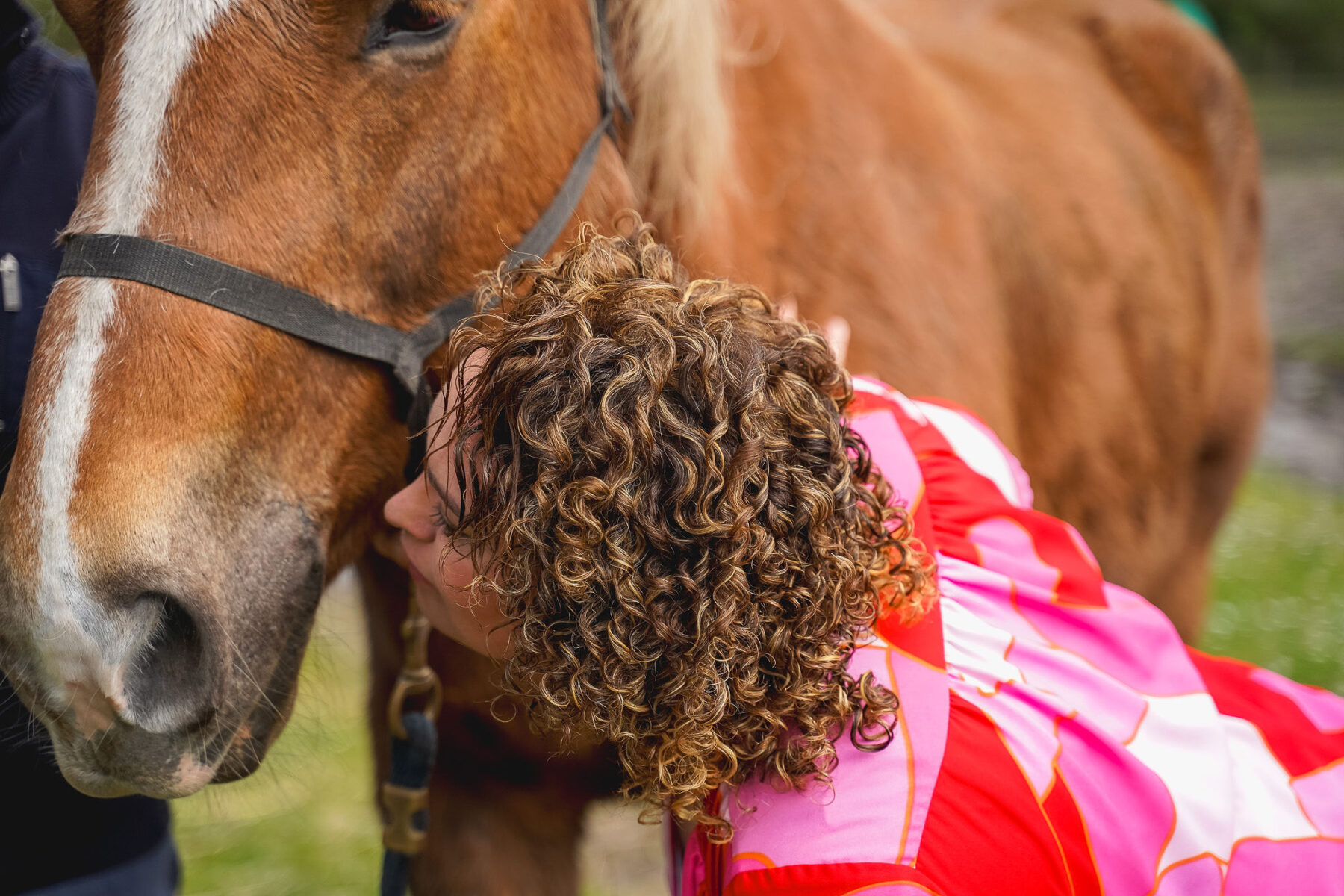 Le lien entre humain et animaux